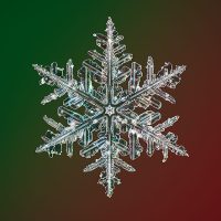 Photographer captures the highest resolution snowflake photos in the world