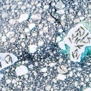 Slideshow: Winners and finalists of the 2020 Ocean Photographer of the Year awards