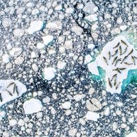 Slideshow: Winners and finalists of the 2020 Ocean Photographer of the Year awards