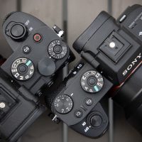Sony a7S II vs a7S III: What’s new and why it matters
