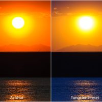 Understanding White Balance – A Beginner’s Guide