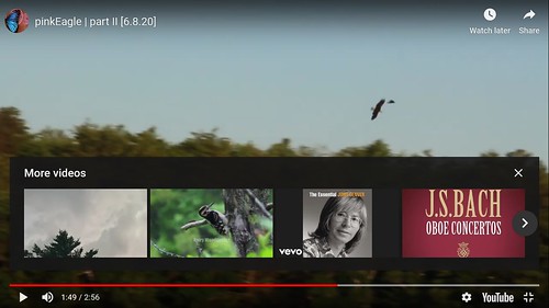 pinkEagle II [6.8.20]