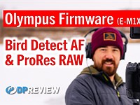 DPReview TV: Does bird detect AF make the Olympus E-M1X a crazy bird finding machine?