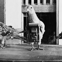 Video: CIA spy-camera secrets revealed by former Chief of Disguise