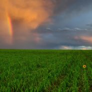 DSLR Has No Futureâ€¦And Thatâ€™s OK