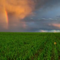 DSLR Has No Future…And That’s OK