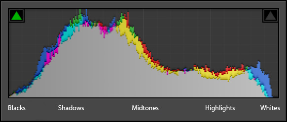 Sample Histogram