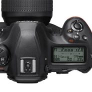 Sony A1 vs Nikon D6 vs Canon 1D X Mark III
