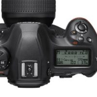 Sony A1 vs Nikon D6 vs Canon 1D X Mark III