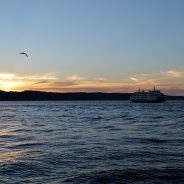 Top-notch high-res mode: Panasonic Lumix S5 review update