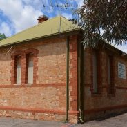 D850 or Z7 II? Which to buy