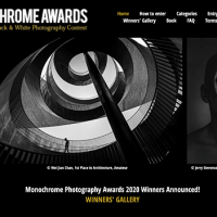 Is it fraud? Monochrome Photography Awards judges speak out