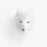 Slideshow: Winners and finalists of Travel Photographer of the Year 2020