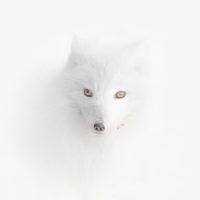 Slideshow: Winners and finalists of Travel Photographer of the Year 2020