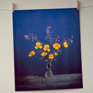 Video: Brendan Barry makes 20″ x 24″ wildflower image using camera obscura and color reversal process