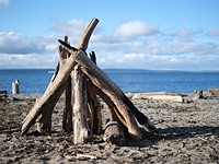 Fujifilm X-E4 pre-production sample gallery