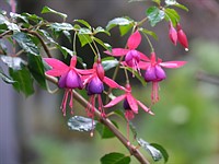 Fujifilm X-S10 sample gallery