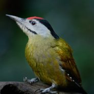 A Beginner’s Guide to Buying a Camera