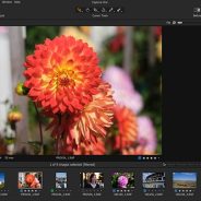 Adobe Camera Raw vs. Capture One Express Fujifilm: A worthy free contender