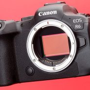 Canon releases 1.3.1 firmware update for EOS R6 after 1.3.0 caused video bug
