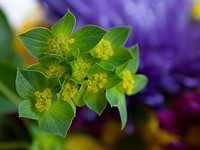 DxO PureRaw review: Impressive noise and lens processing for any editing app