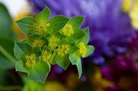 DxO PureRaw review: Impressive noise and lens processing for any editing app