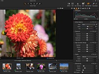 Adobe Camera Raw vs. Capture One Express Fujifilm: A worthy free contender
