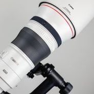 Taking a closer look at the new Canon RF 400mm F2.8 and 600mm F4L I.S.