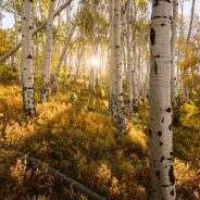 Timing and Direction in Landscape Photography