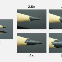 Venus Laowa 25mm f/2.8 2.5-5× Ultra Macro Lens Review