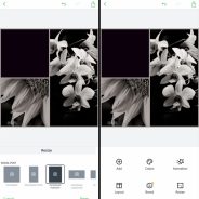 Best Apps for Photographers in 2021