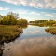 Fuji GFX 100S Review