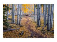 How to Focus Stack Panoramic Images