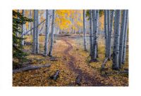 How to Focus Stack Panoramic Images