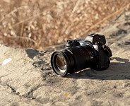 Oceans and redwoods: Nikon Z6 II sample gallery update