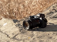 Oceans and redwoods: Nikon Z6 II sample gallery update