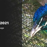 ON1 NoNoise AI announced: Promises fastest and best noise reduction on the market