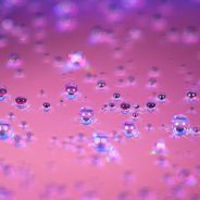 Recommended Equipment for Macro Photography