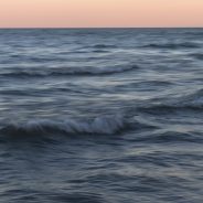 Understanding Texture in Photography