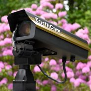 EarthCam collaborates with Sony on two new high-resolution timelapse cameras