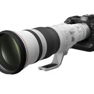 There can be only one: why isn’t the EOS R3 an EOS R1?