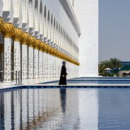 Best Nikon Z Lens Combinations