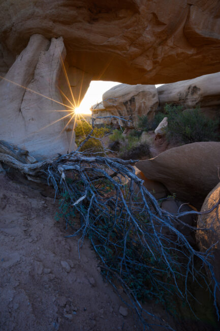 Sunstar Effect at Narrow Aperture