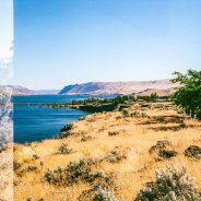 Opinion: Ode to the ‘happy accident’ or why film photographers have more fun