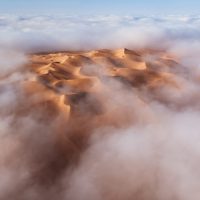What Are Your Favorite Photography Moments?