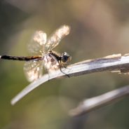 10 Things I’ve Learned in 10 Years as a Photographer