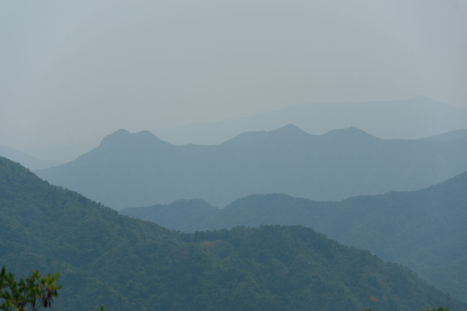 Thoughtless Photo - Level 1