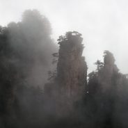 Levels of Perception in Photography