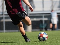 Surf and turf: Canon EOS R3 pre-production sample gallery