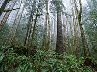 A little bit of everything: Fujifilm XF 16-80mm F4 sample gallery